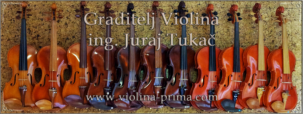 Violina prima